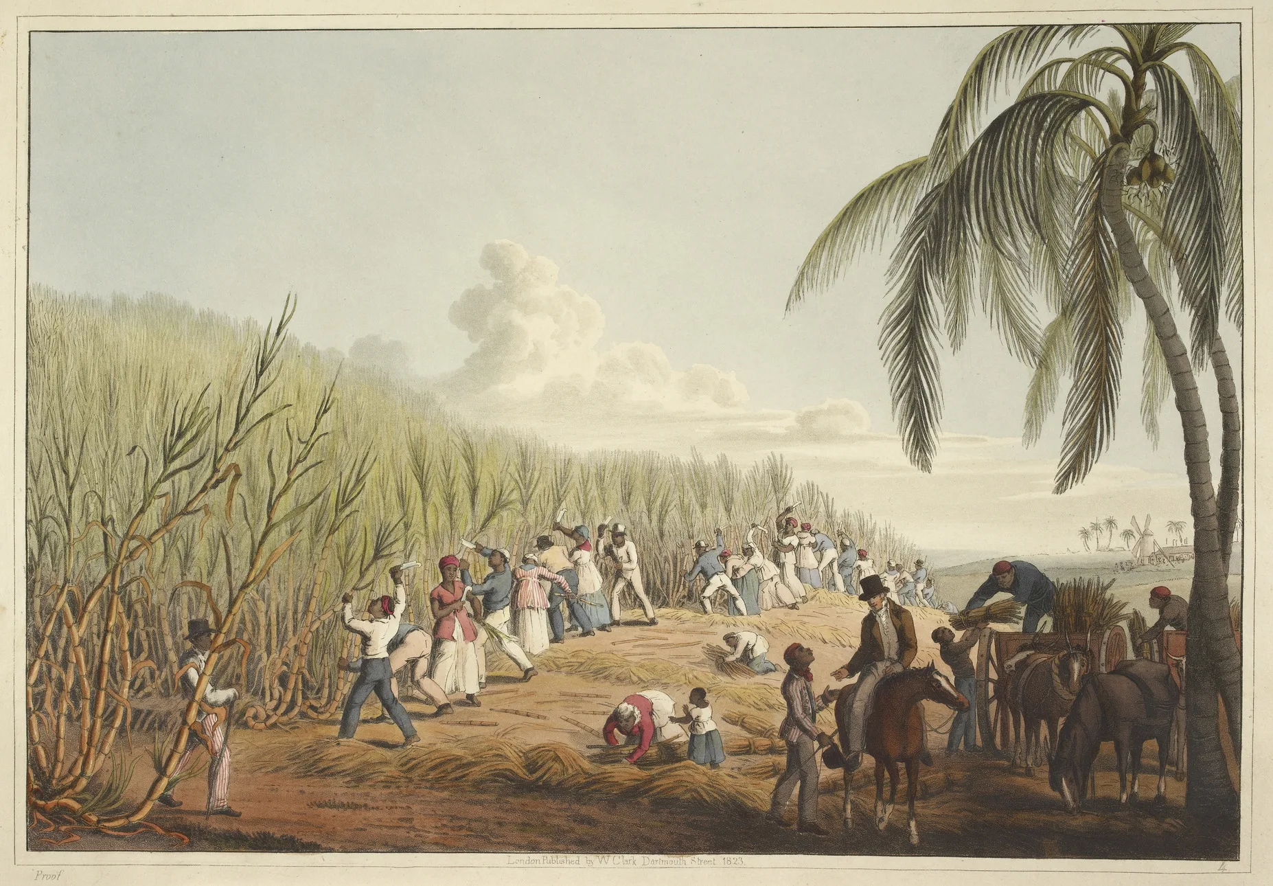 sugar cane cutting Image public domain