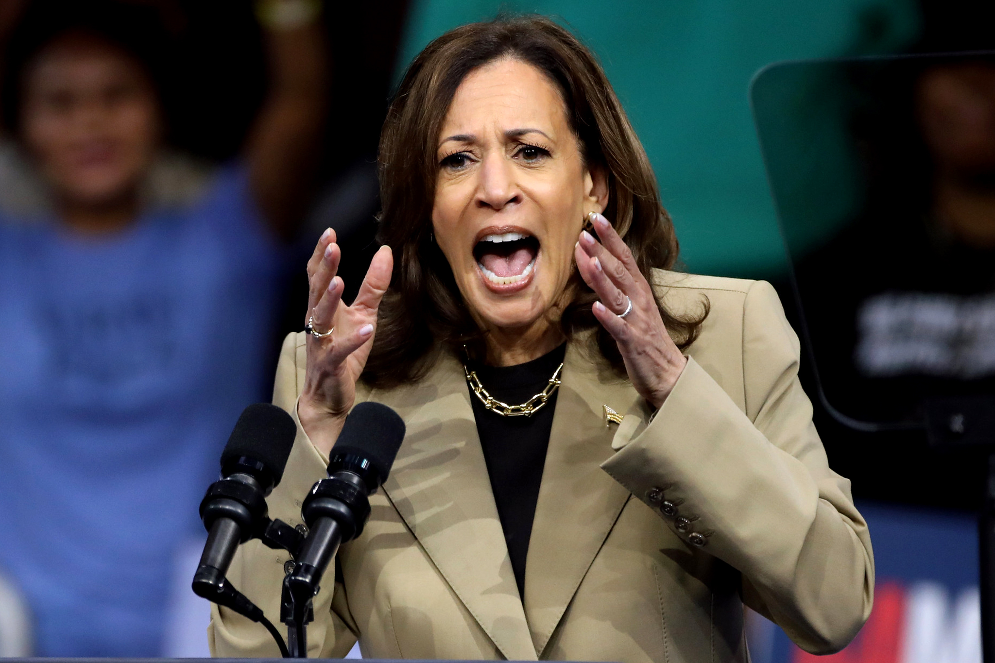 Kamala Harris Image Gage Skidmore Flickr